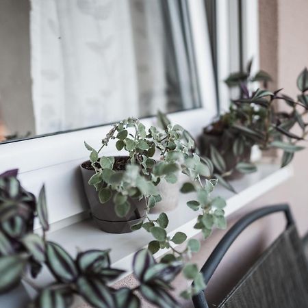 Apartman Centar Ντόμποϊ Εξωτερικό φωτογραφία
