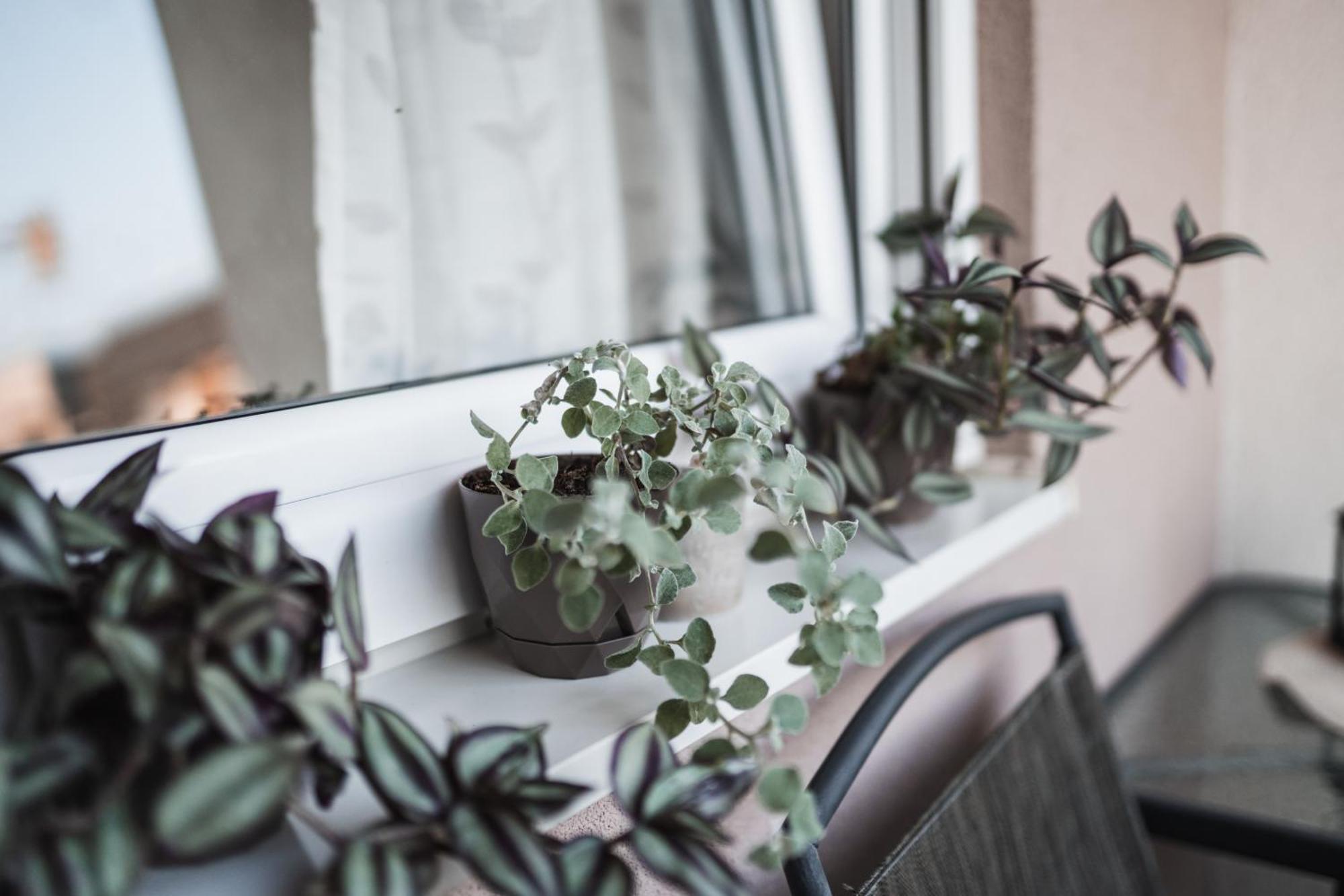 Apartman Centar Ντόμποϊ Εξωτερικό φωτογραφία
